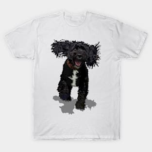 Cockapoo T-Shirt